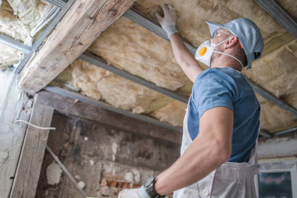 Best Insulation for Specific Applications in Lumber City, GA