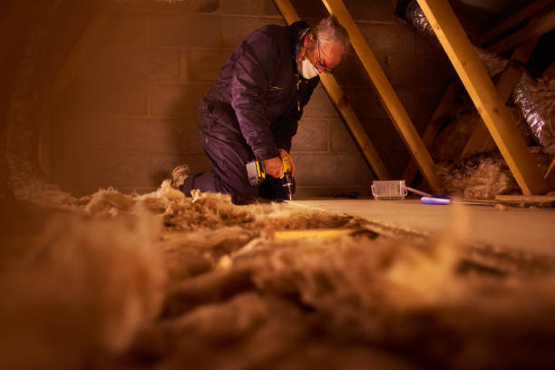 Best Eco-Friendly Insulation in Lumber City, GA